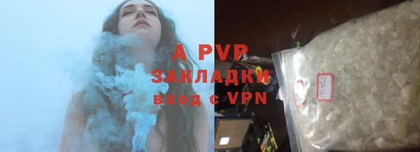 apvp Алексин