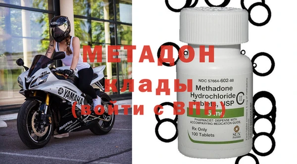 шишки Абаза